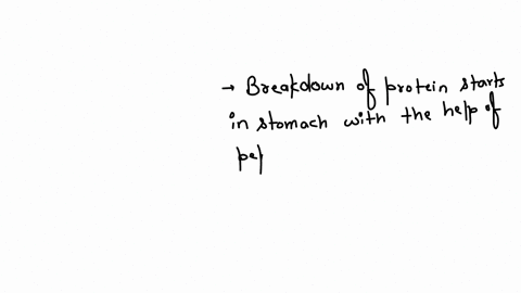 115-minutes-remaining-varnothing-question-3-truefalse-the-breakdown-of-protein-being-in-the-mouth-a-true-b-false-question-4-absorption-and-breakdown-products-of-carbohydrates-proteins-lipids-and-nucle