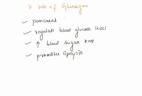 which-of-the-following-is-not-role-of-glucagon-blood-glucose-homeostasis-promotes-the-mavemient-of-glucose-out-of-skeletal-muscle-cells-b-stimulates-gluconeogenesis-in-the-liver-stimulates-g-74262