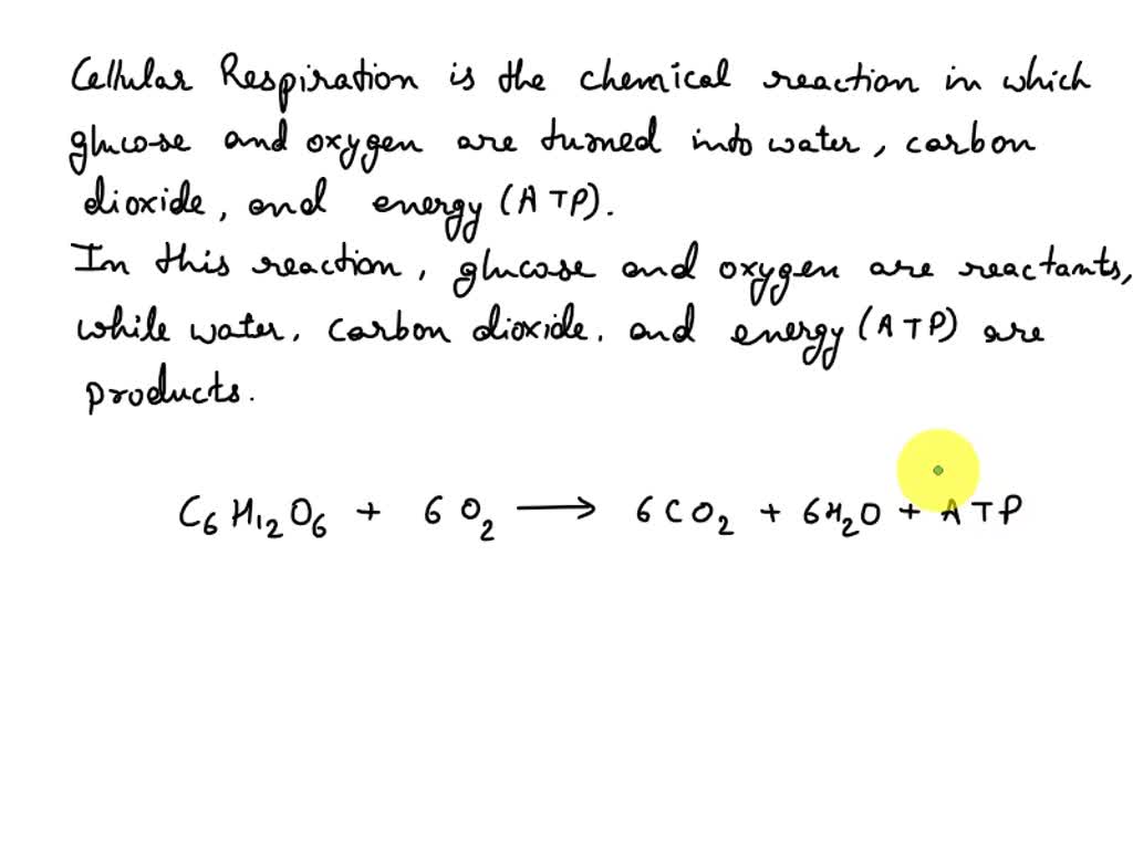 SOLVED: 1. Which of the following statements regarding cellular