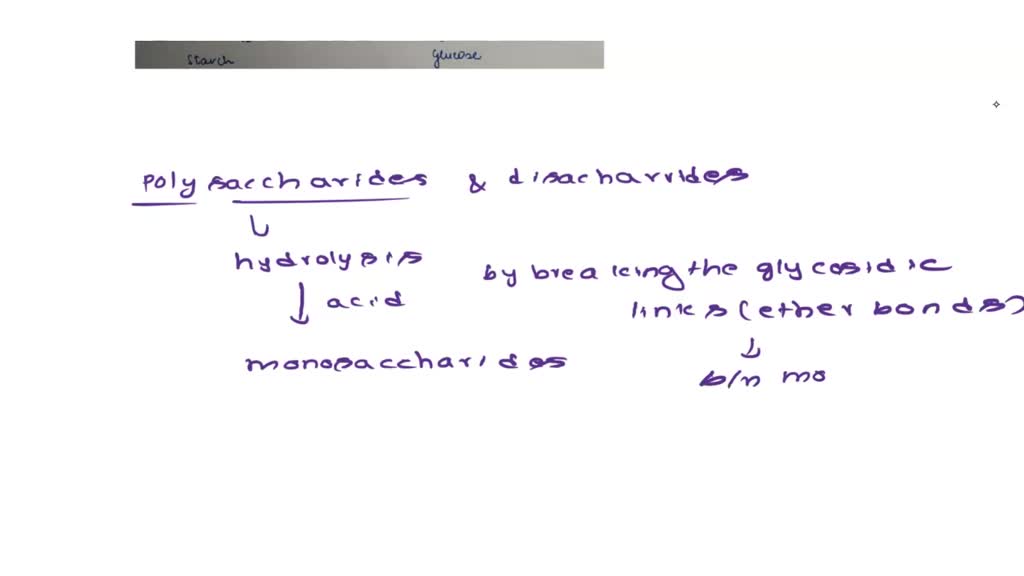 SOLVED What is produced when polysaccharides and disaccharides are