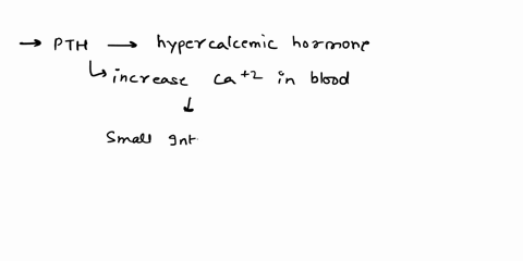 which-of-the-following-dces-not-occur-as-result-0r-parathyroid-hormone-in-cther-words-pth-does-all-of-the-follcwing-except-a-calcium-reabsorption-by-tne-kicneys-3-calcium-release-from-bones-18056