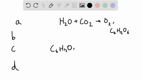 the-process-of-cellular-respiration-answers-converts-water-and-carbon-dioxide-into-oxygen-and-glucose-which-releases-energy-as-atp-uses-atp-energy-to-convert-glucose-and-oxygen-into-water-an-57205