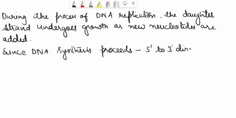 dna-replication-occurs-by-adding_-note-ntps-nucleotide-triphosphates-dntps-deoxynucleotide-triphosphates-dntps-to-the-3-end-of-the-template-strand-ntps-to-the-3-end-of-the-daughter-strand-dn-18991