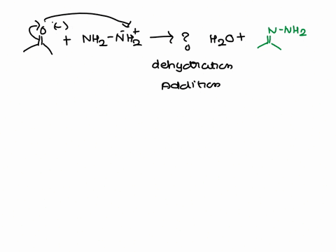what-is-the-major-organic-product-obtained-from-the-following-reaction-t-nhz-hznnhz-nhnaz-8-what-is-the-major-organic-product-obtained-from-the-following-reaction-phap-chz-2-hjot-2-butene-2-27122