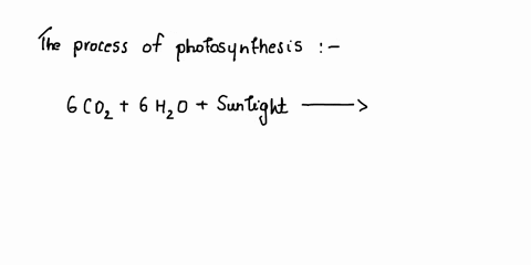 carbon-dioxide-is-released-into-the-atmosphere-in-the-process-of-photosynthesis-true-or-false-02722