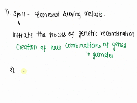 spo11-is-expressed-during-meiosis-but-not-mitosis-how-does-this-affect-the-dividing-cells-what-could-happen-if-spo11-was-expressed-in-mitotic-cells-in-a-recombination-eventif-holliday-juncti-00864