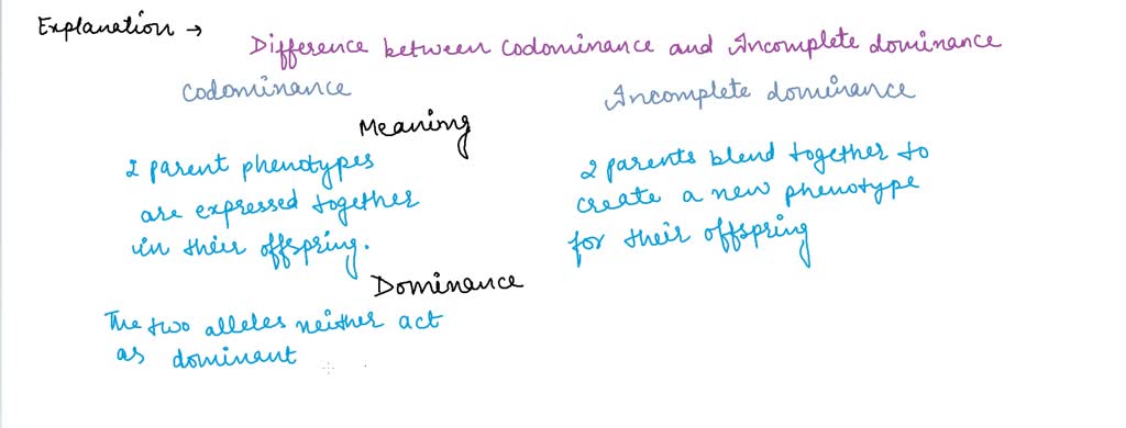 SOLVED: The inheritance of blood types in humans can be explained by ...