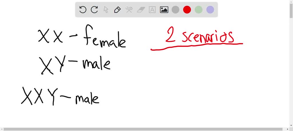 Solved Klinefelter Syndrome Is A Trisomy Of Sex Chromosomesxxydraw Out All Possible Ways 9308