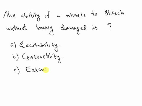 question-17-2pts-the-ability-of-a-muscle-to-stretch-without-being-damaged-is-excitability-contractility-extensibility-elasticity-conductivity-87142