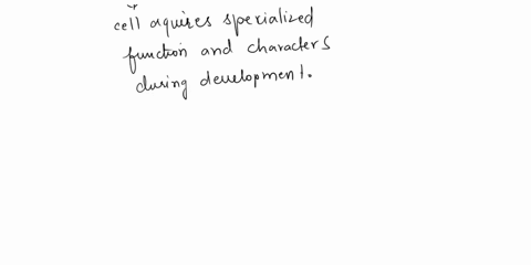 all-the-cells-of-one-organism-share-the-same-genome-however-during-development-some-cells-develop-into-skin-cells-while-others-develop-into-muscle-cells-briefly-explain-how-the-same-genetic-58755