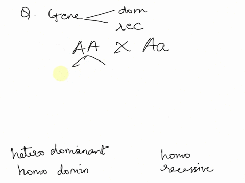 for-any-gene-with-a-dominant-allele-and-recessive-allele-a-what-proportions-of-the-offspring-from-an-aa-x-aa-cross-are-expected-to-be-homozygous-dominant-homozygous-recessive-and-heterozygou-31794