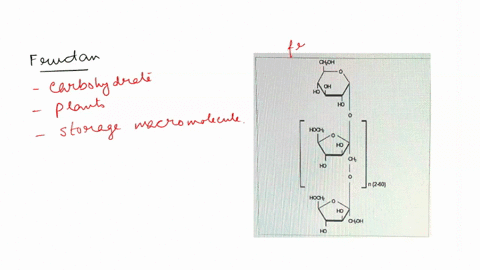 fructans-are-the-most-abundant-storage-carbohydrates-in-plants-next-to-starch-and-sucrose-the-glycosidic-bond-formed-between-the-fructose-monomers-in-the-fructan-structure-shown-below-is-cho-49545
