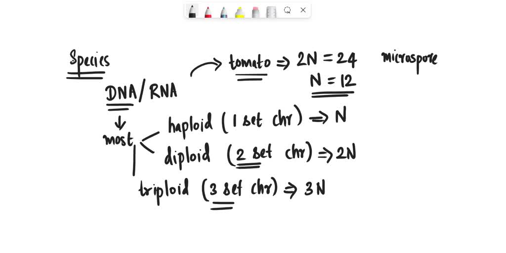 SOLVED Tomato has diploid chromosomes number of 24. How many