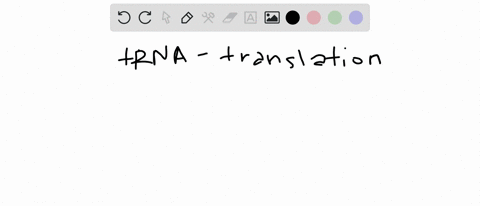 q59-suppose-drug-blocked-the-entry-of-trna-molecules-into-the-ribosome_-what-effect-would-this-drug-have-on-gene-expression-there-would-be-no-effect-because-trna-is-not-part-of-the-product-o-81371