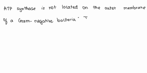 are-these-correct-my-answers-are-marked-in-bold-1-atp-synthase-is-located-on-the-outer-membrane-of-a-gram-negative-bacterium-true-or-false-2-the-transpeptidase-transfers-short-peptides-from-39699