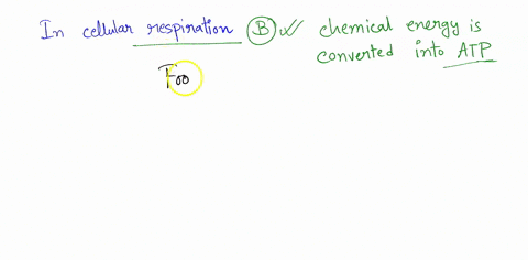 which-of-these-statements-accurately-describes-the-energy-conversion-that-occurs-in-cellular-respiration-a-atp-is-converted-into-thermal-energy-b-chemical-energy-is-converted-into-atp-c-heat-52762