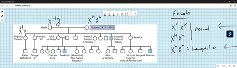 below-is-a-partial-pedigree-of-hemophilia-in-the-british-royal-family-descended-from-queen-victoria-97956