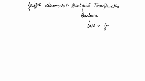 frederick-griffith-documented-bacterial-transformation-which-statement-is-true-concerning-his-experiments-dna-that-was-not-contained-within-a-live-cell-caused-the-death-of-the-host-organism-74007