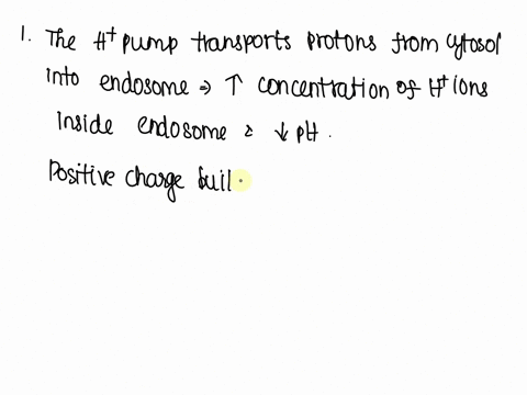 we-will-see-in-chapter-15-that-endosomes-which-are-membrane-enclosed-intracellular-organelles-need-3-65273