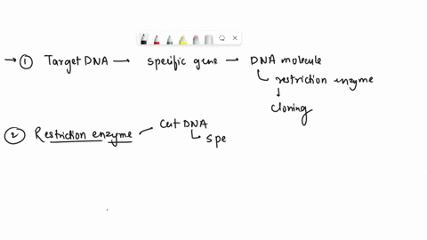 what-are-the-different-tools-used-in-recombinant-dna-technology-answer-this-question-by-completing-the-key-words-below-using-one-sentence-each_-target-dna-2-restriction-enzymes-3-dna-cloning-82638