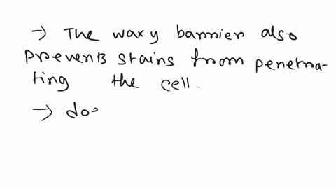 when-a-medical-technologist-wants-to-determine-if-a-clinical-specimen-contains-a-mycobacterium-species-which-should-be-useda-acid-fast-stainb-capsule-stainc-endospore-staind-gram-staine-simp-37026