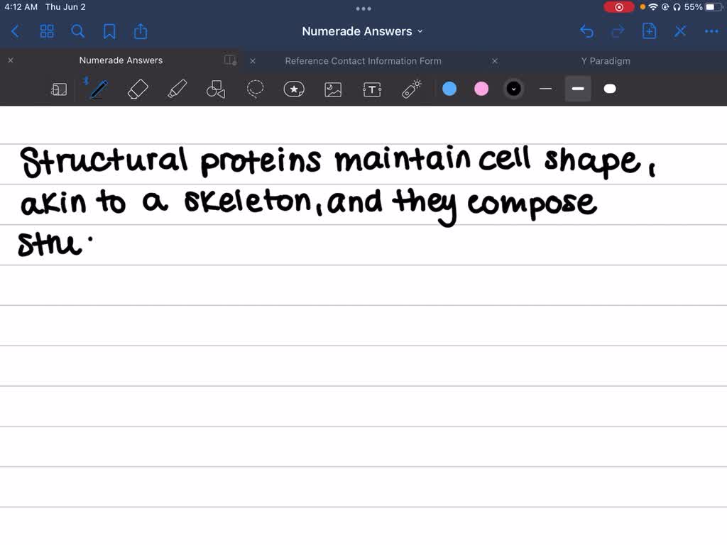 The Single Most Abundant Protein In The Body Is SOLVED: Structural proteins are the most abundant proteins in human
