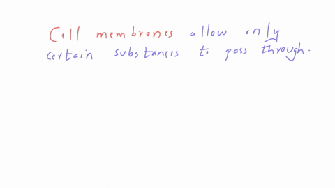 cell-membranes-are-semipermeable-true-or-false