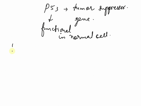 step-by-step-describe-the-consequence-of-p53-gene-mutation-describe-starting-from-transcription-to-translation-to-activation-ending-with-function-how-this-protein-s-shape-and-function-could-73425