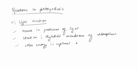19-in-photosynthesis-the-light-reactions-philc-the-cahi-gck-capture-solar-nctgy-convers-the-can-occur-captured-only-cncrgy-the-light-can-occur-chenical-potentisl-cagy-require-only-lhe-dark-p-49051