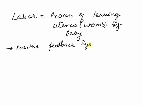 would-you-consider-labor-a-negative-or-positive-feedback-system-explain-1abi-22357