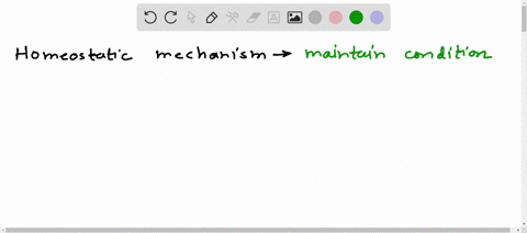 1-describe-the-parts-of-the-homeostatic-mechanism-to-include-setpoint-variable-receptorsensor-effectortarget-and-controlintegrating-center-and-explain-how-it-is-used-to-maintain-conditions-f-63933