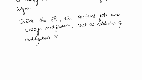 which-of-the-following-best-explains-how-the-phospholipid-bilayer-of-a-transport-vesicle-contributes-to-cellular-functions-a-the-phospholipid-bilayer-allows-the-vesicle-to-fuse-with-the-golg-51582