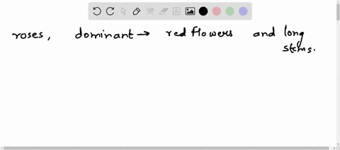 in-roses-red-flowers-and-long-stems-are-dominant-traits-a-rose-plant-that-is-homozygous-for-both-red-flowers-and-long-stems-is-crossed-with-a-rose-plant-that-is-heterozygous-for-red-flowers-29573