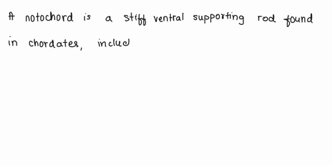a-notochord-is-replaced-by-the-nerve-cord-during-development-strip-of-cartilage-that-forms-a-back-and-tail-in-all-vertebrates-stiff-ventral-supporting-rod-all-of-the-choices-are-correct-by-t-29559