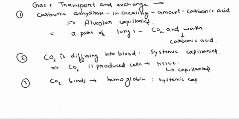 help-save-exit-submit-gas-transport-and-exchange-in-systemic-vs-pulmonary-capillaries-identify-the-set-of-capillaries-in-which-each-of-the-following-processes-would-occur-carbonic-anhydrase-46258