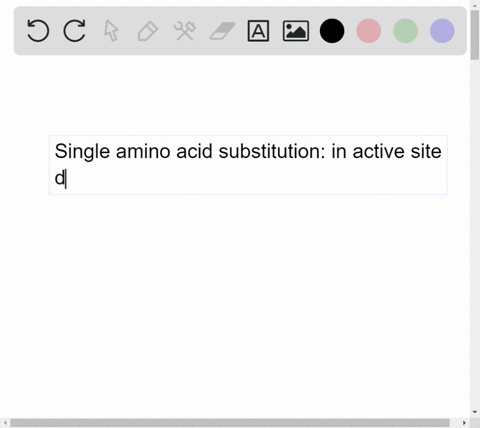 please-discuss-why-a-mutation-that-results-in-a-single-amino-acid-substitution-in-the-active-site-of-an-enzyme-would-typically-decrease-the-activity-of-the-enzyme-47084