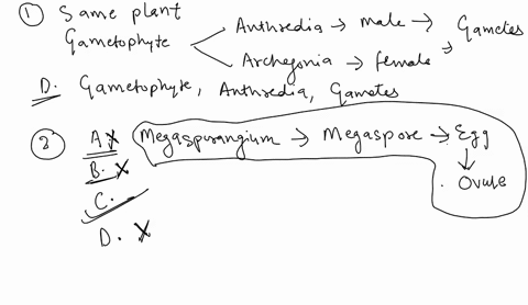 14-assuming-that-they-all-belong-i0-thc-same-plant-which-of-the-following-scqucnccs-describes-structures-from-largest-i0-smallest-gamcies-gametophytes-antheridia-gametes-antheridia-gamctophy-87824