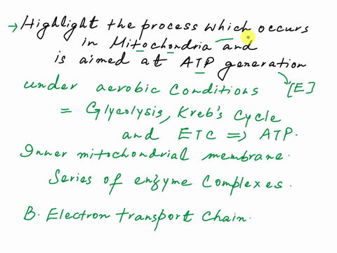 a-certain-process-takes-place-in-the-mitochondria-of-eukaryotic-cells-that-consists-of-a-series-of-chemical-reactions-that-use-high-energy-molecules-from-the-krebs-cycle-to-drive-the-formati-27611