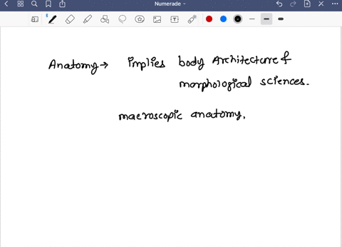 explain-the-anatomical-concepts-associated-with-biology-chemistry-and-homeostasisexplain-the-physiological-concepts-associated-with-biology-chemistry-and-homeostasis-79143