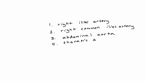 fat-albert-is-having-heart-trouble-his-doctor-suspects-that-he-has-a-blocked-coronary-artery-the-doctor-decides-to-do-a-cardiac-catheterization-if-the-cardiologist-inserted-the-catheter-into-78099