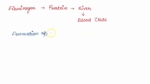 the-meshwork-that-forms-the-fabric-of-a-blood-clot-consists-mostly-of-which-protein-select-one-fibrin-fibrinogen-ecollagen-krembin-95015