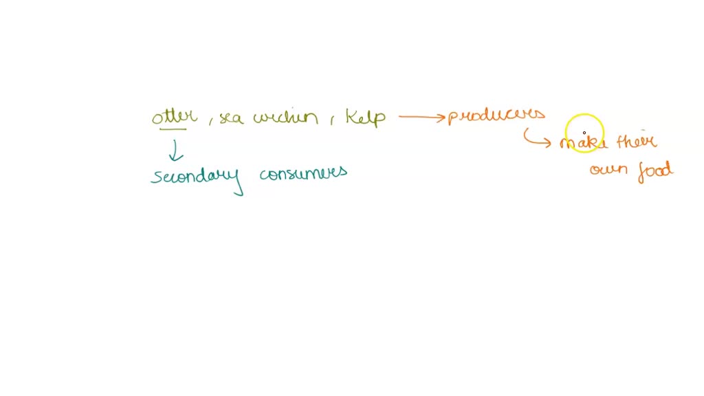 SOLVED: In the otter-sea urchin-kelp community on the Pacific coast of