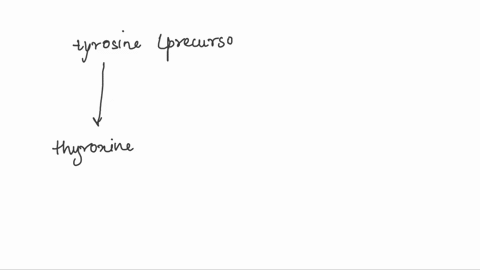 explain-how-thyroxine-differs-from-its-parent-amino-acid-tyrosine-40332