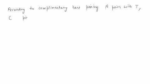 write-the-complementary-sequence-of-the-following-nucleotides-in-the-dna-1c-g-t-a-c-2g-g-c-c-t-a-3a-t-c-g-a-88764