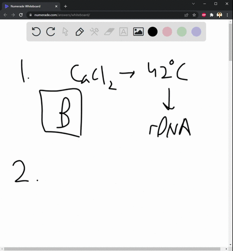 1-how-is-recombinant-dna-introduced-into-bacterial-cells-amost-bacterial-cells-are-naturally-competent-so-dna-just-needs-to-be-mixed-with-the-cells-b-many-bacterial-cells-can-be-transformed-14277