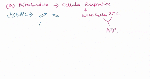 3-from-the-following-structures-which-one-is-not-found-in-plant-cells-mitochondria-npc-centriole-peroxisome-all-of-the-above-6-carrier-proteins-always-requires-atp-transport-a-molecule-again-03009