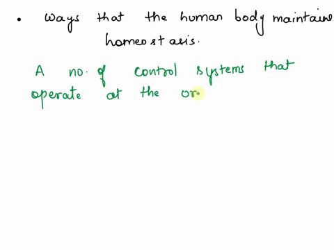 explain-three-ways-the-human-body-maintains-homeostasis-27192