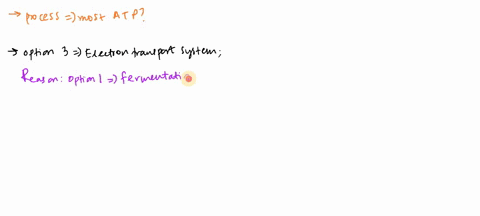 which-of-the-following-processes-produces-the-most-atp-fermentation-krebs-cycle-electron-transpotr-system-glycolysis-67963