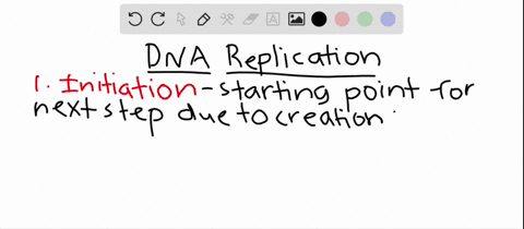 what-are-the-three-steps-of-dna-replication