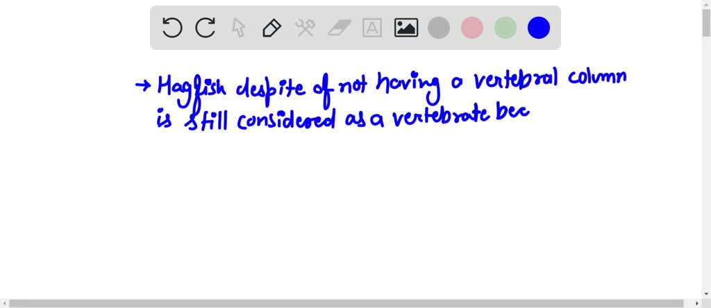 SOLVED: Hagfish don't have vertebrae but are considered vertebrates
